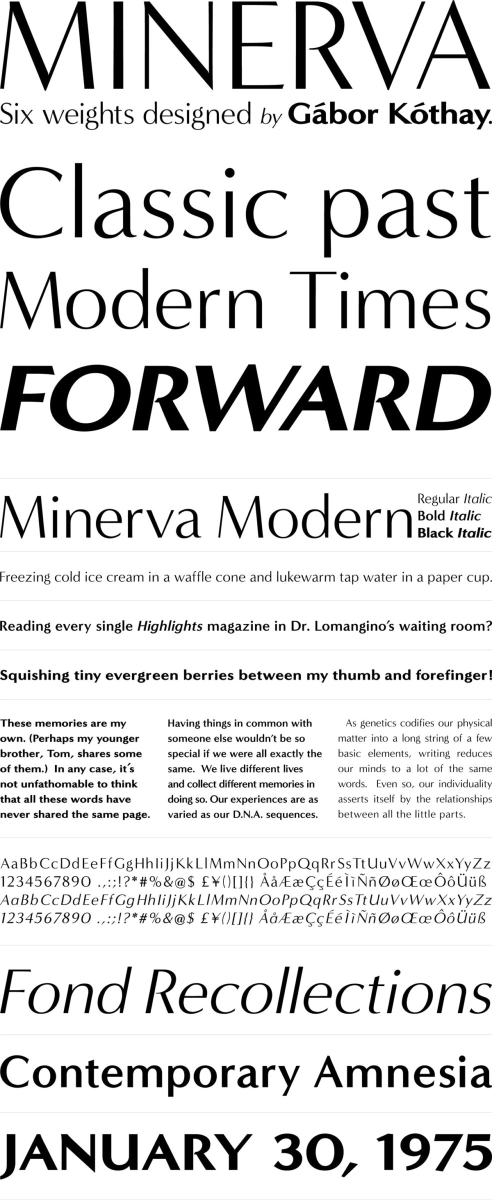 Minerva Modernの組見本